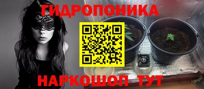 spice Обь