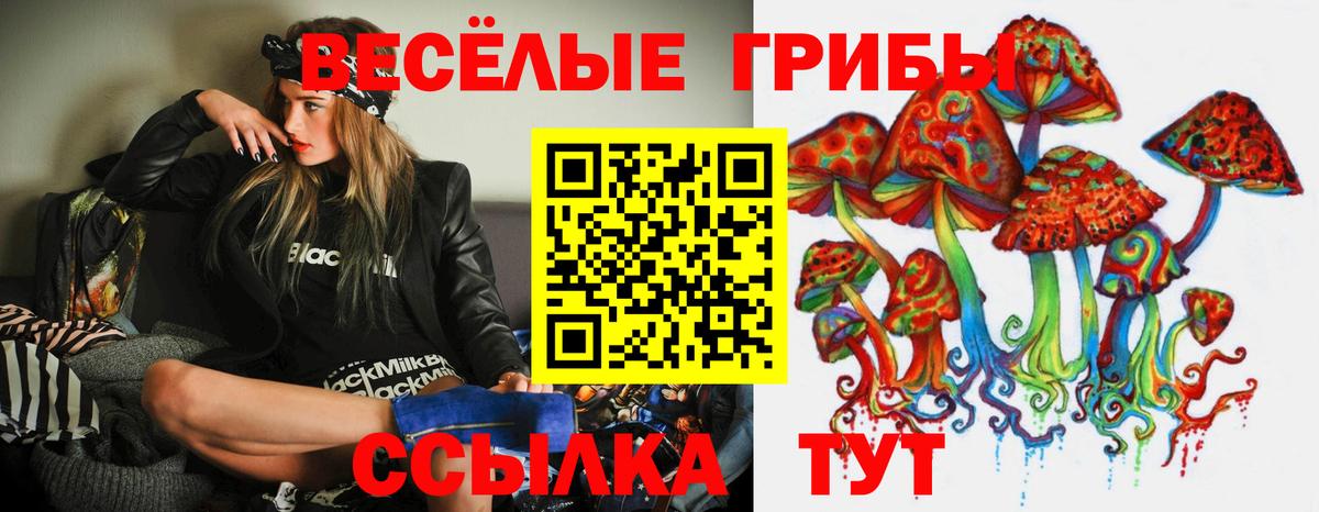 Бошки Шишки  Артёмовский  Cocaine  Alpha PVP СК кристаллы  МЕФ кристаллы  Гашиш  Вход с VPN  Метадон 