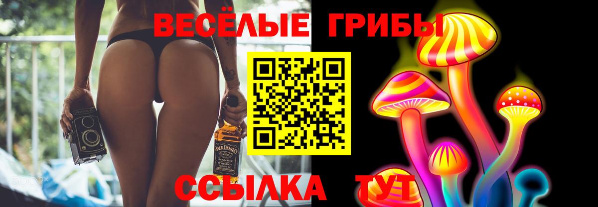 Артёмовский  купить  сайты  Галлюциногенные грибы Psilocybine cubensis  Вход с VPN  Псилоцибиновые грибы Psilocybe 